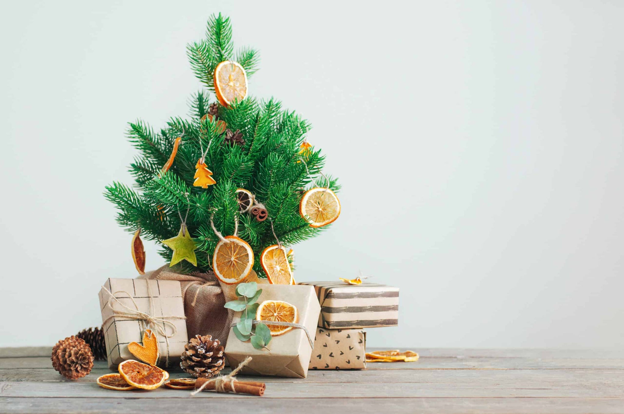 Sustainable Celebrations : A Guide to Sustainable Home Décor this Festive Season